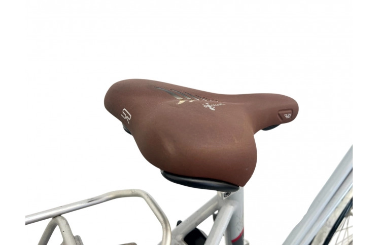 Woman's bicycle Batavus Fuego w/silver/sity/al/28/53