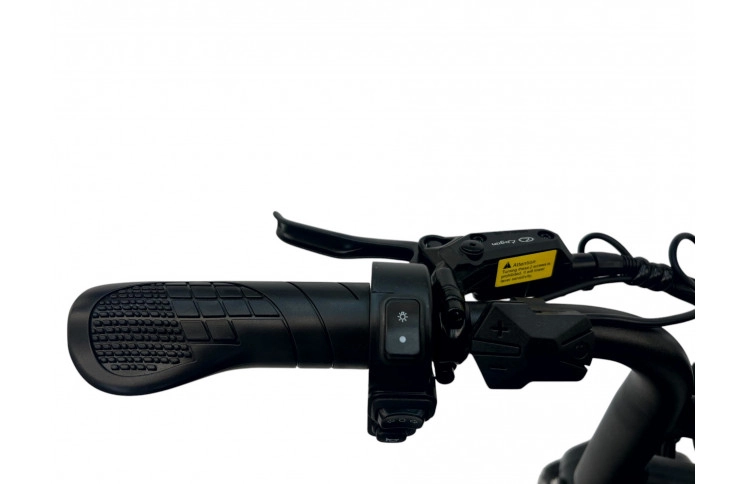 DIABLO E-BIKE, E-ONE, MATT-GREEN, 1000819 ACCU 15AH 48V 720WH