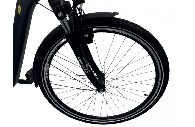 Woman's E-bike 28" Prophete Geniesser 22.ETC.10, 49