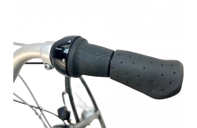 Man's bicycle Gazelle 28"/61cm/Gray