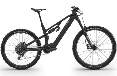 CONWAY Elektrische MTB Full-Suspension Ryvon LT 4.0 29"/40cm-S/12/carbon - zilver/02830075