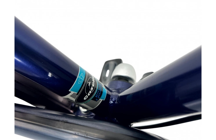 Man's bicycle Gazelle Orange 28" 65