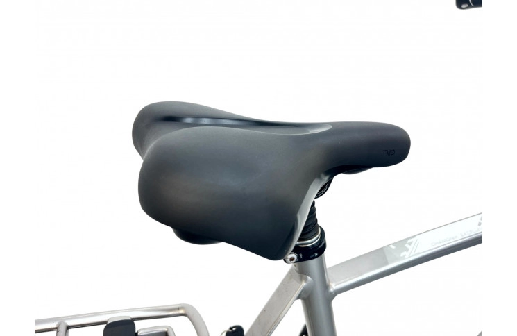 Man's bicycle Gazelle Chamonicx 28"/61cm/gray