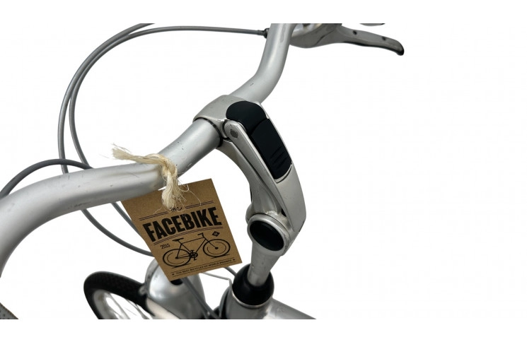 Man's bicycle Gazelle C7 Orange Comfort 28"/61cm/Gray