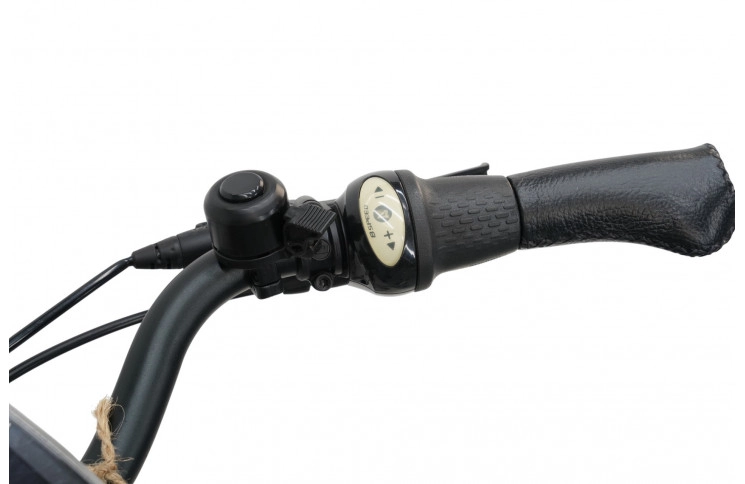 E-Bike Batavus Wayz 28"/53cm/Gray/522Wh 36V 14.5Ah