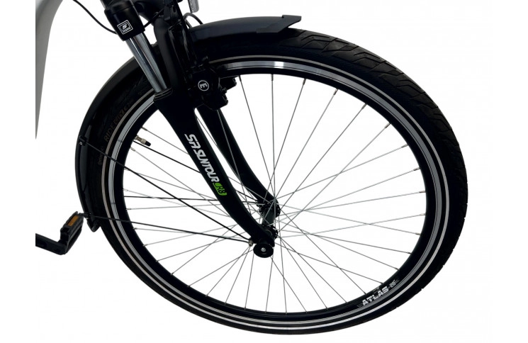 City woman's e-bike 28" Prophete Geniesser 22.EMC.10, 49, white