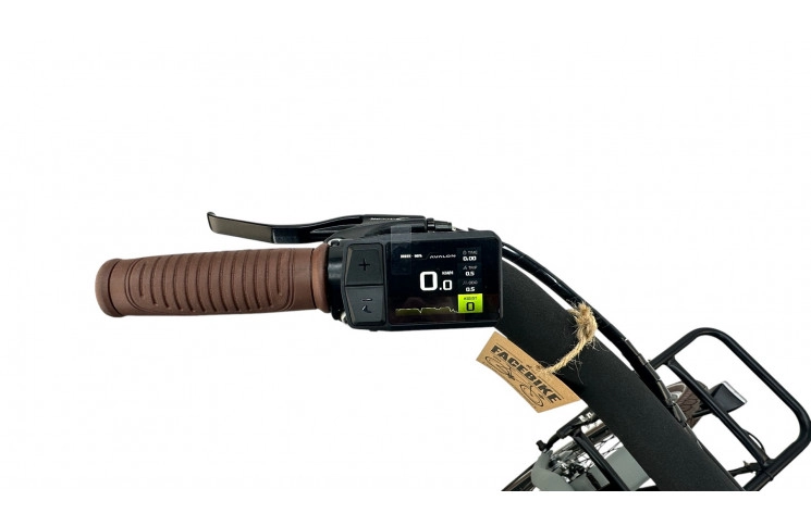 Damesfiets Avalon E-Cargo N7 28"/50cm/Grijs/36V 15Ah 540Wh