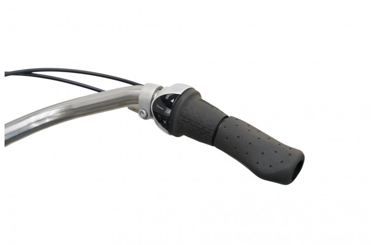 Damesfiets Sparta Pick Up 28"/53cm/Metalen