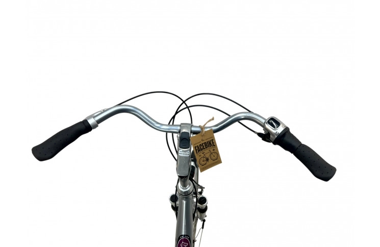 Damesfiets Union Cwitch 28"/54cm/Zwart-grijs