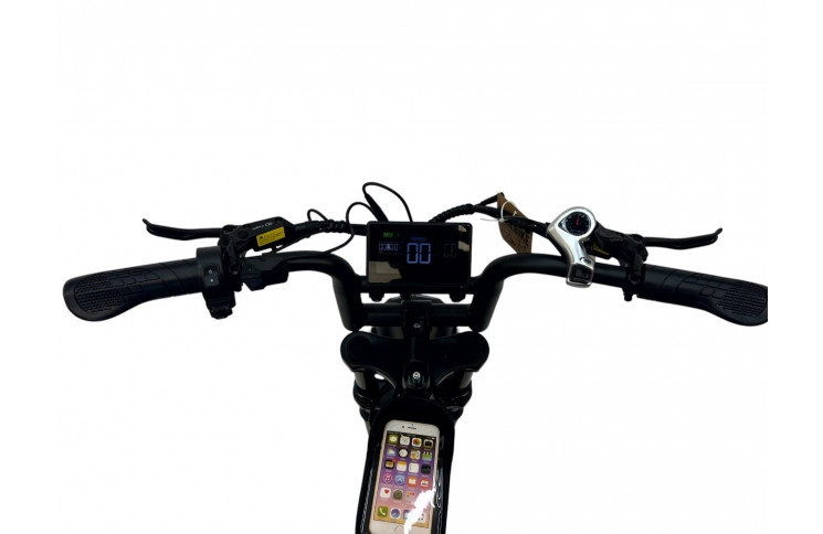 DIABLO E-BIKE, E-ONE, MATT-GREEN, 1000819 ACCU 15AH 48V 720WH