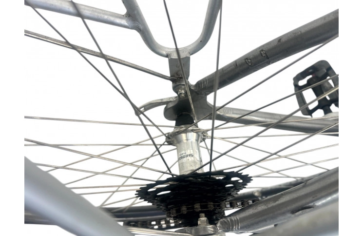 Woman's bicycle Gazelle Medeo 28" 53