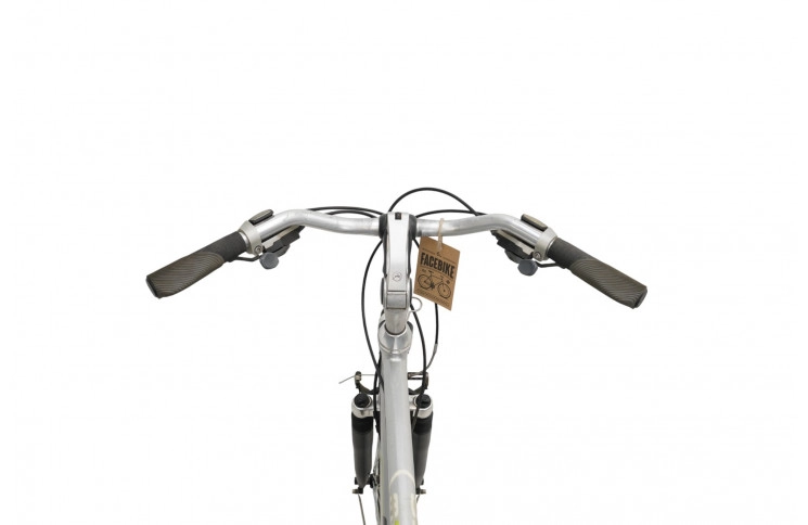 Man's bicycle Gazelle Medeo 28"/63cm/Gray