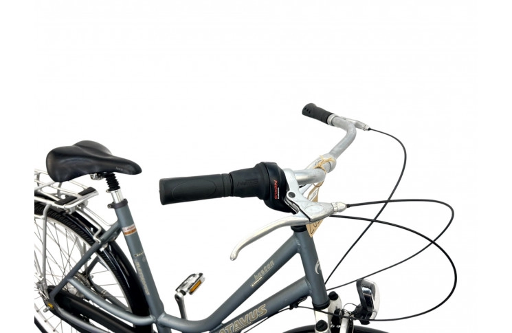 Women's bicycle Batavus Boston 28" 53 gray