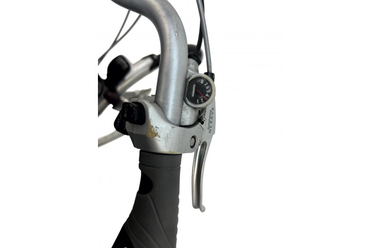 Woman's bicycle Batavus Kayenta 28" 49"