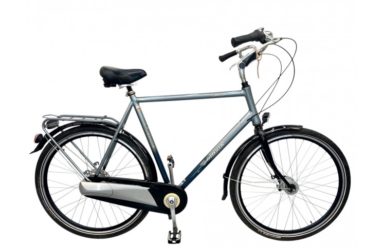 Men's bicycle Batavus Vienna 28" 66 cm gray