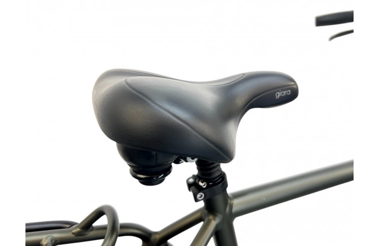 Man's bicycle Batavus Mambo 28"/57cm/green