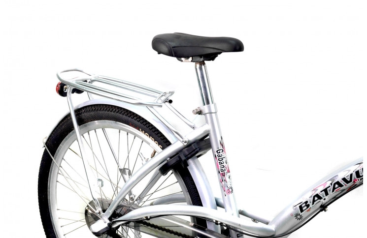 Woman`s bike Batavus Gabana