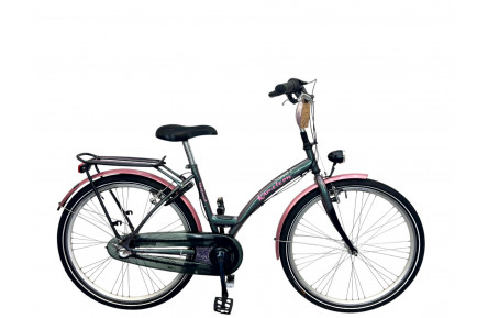 Woman's bicycle Batavus Kameleon green/26/w/sity/st/f43cm