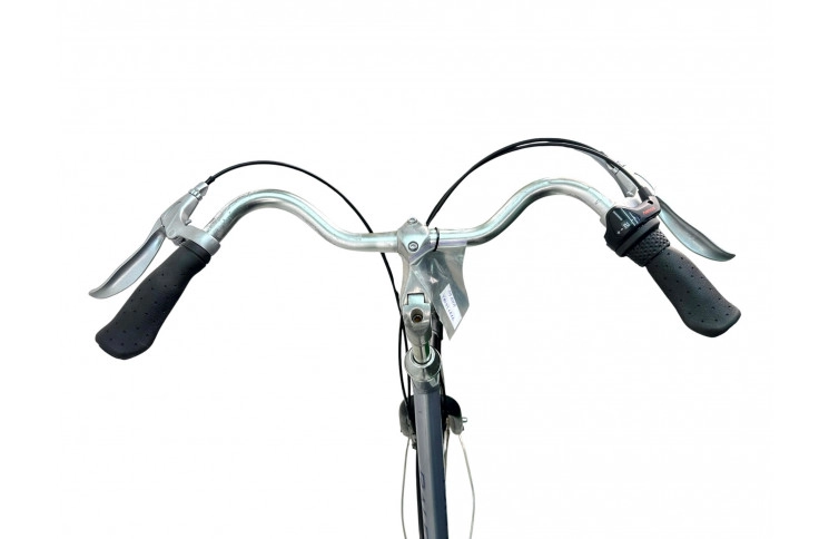 Damesfiets Raleight 28"/56cm/Donker-blauw-grijs