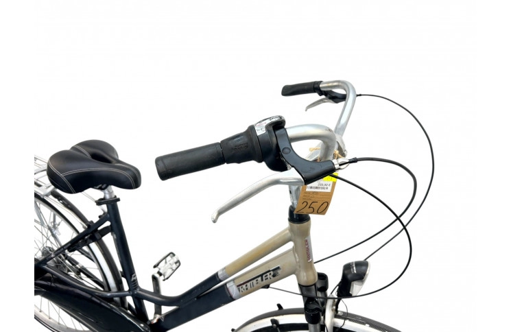 Women's bicycle Rambler 28" M/50 grey-beige