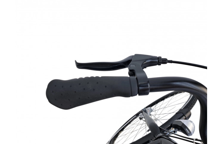 Damesfiets Sparta Regular 28"/48cm/zwart