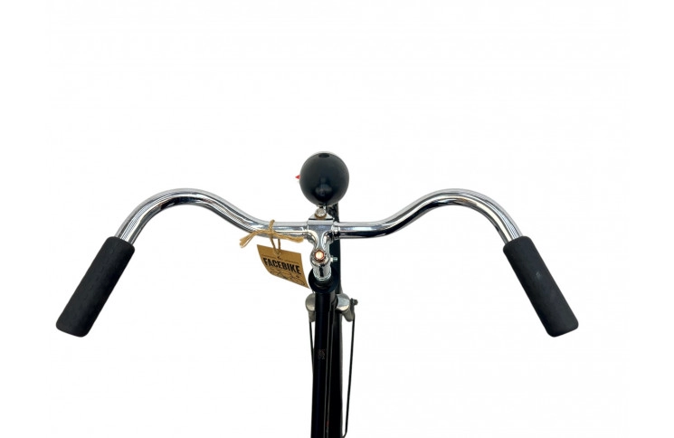 Woman`s bike Gazelle 26" 56cm