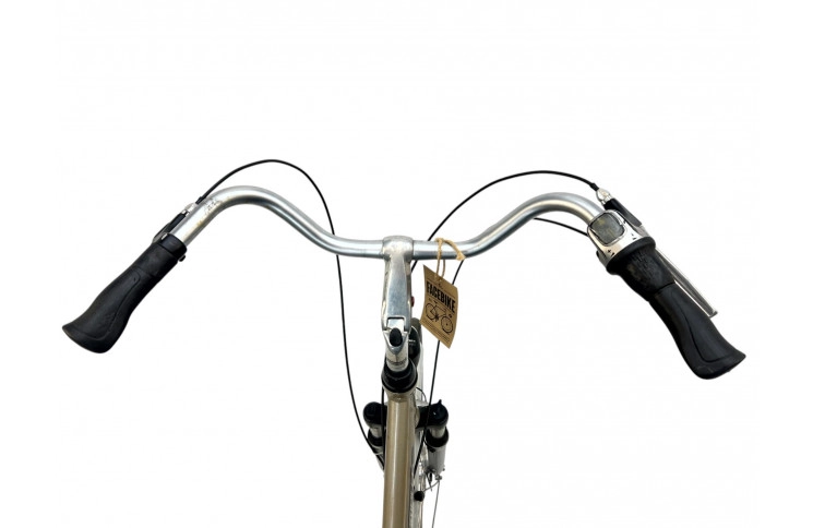 Women's bicycle Rambler 28" M/50 grey-beige