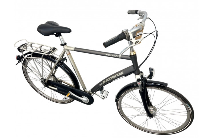 Man's bicycle Batavus Crescendo 28" XL/61 gray-brown