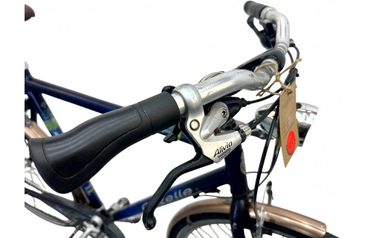 Man's bicycle Gazelle Medeo 28" 51