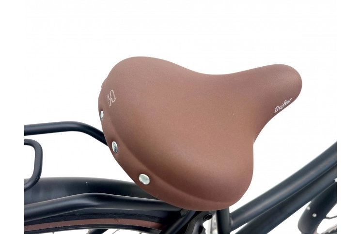 Woman's bicycle Popal Daily Dutch Prestige N3 28"/47/Matt black/S010147001M,28-47