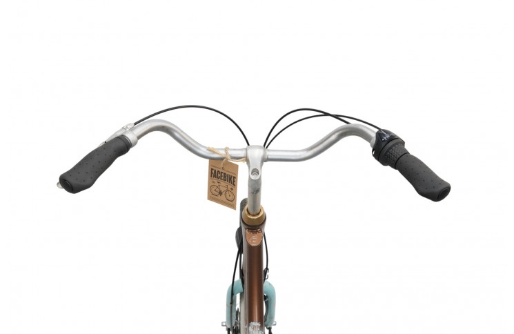 Damesfiets Batavus Blockbuster 28"/56cm/Blauw-bruin