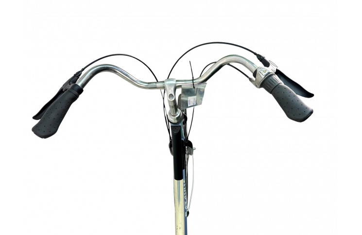 Damesfiets Batavus Lyng 28"/56cm/Blauw-zwart-wit