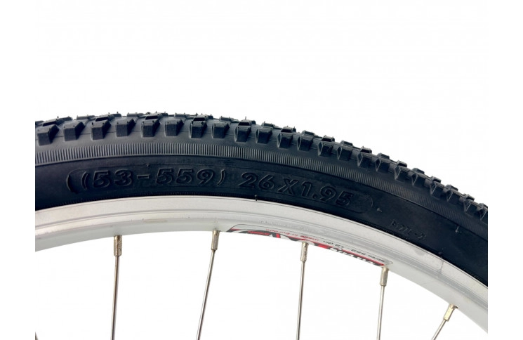 Woman's bicycle Sparta Amazone 26" 48