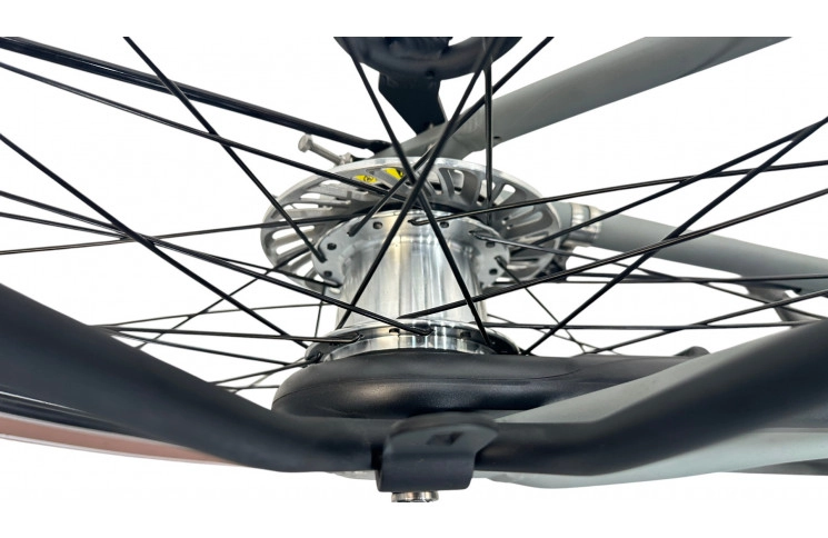 Damesfiets Avalon E-Cargo N7 28"/50cm/Grijs/36V 15Ah 540Wh