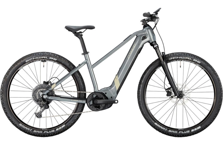 CONWAY Elektrische MTB Hardtail Cairon S 2.0 500 29"/45cm-M/9/schaduwgrijs metallic - woestijn mat/02825818