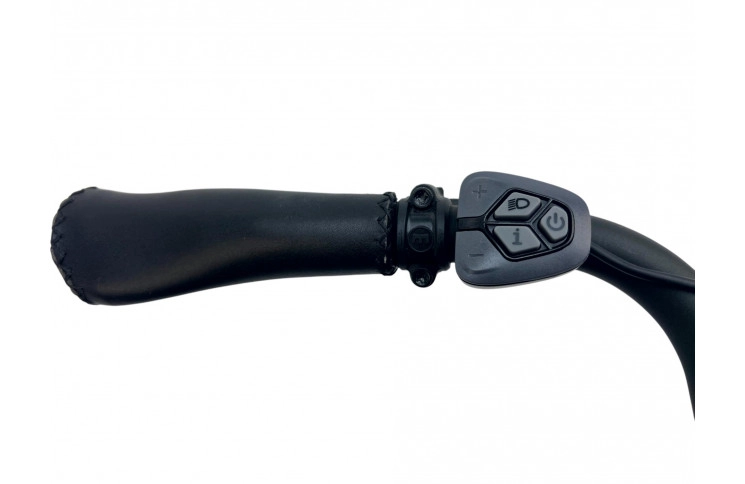 E-Bike VanDijck Leto 7 Chain, 36V18.2Ah 655Wh, 56 sm