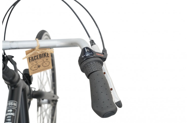 Man's bicycle Gazelle 66 Degrees 28"/61cm/black