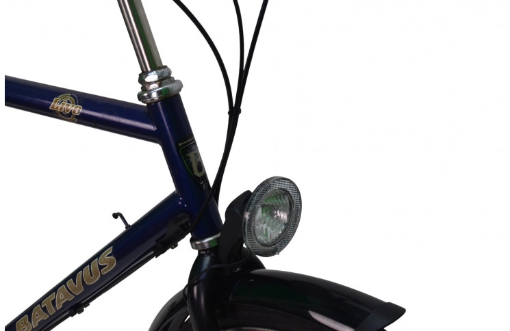 Man's bicycle Batavus Live 28"/54cm/Blue