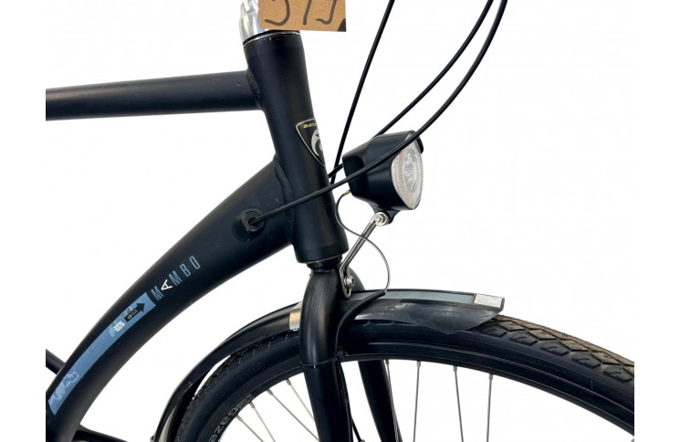 Man's bicycle Batavus Mambo 28" L/57