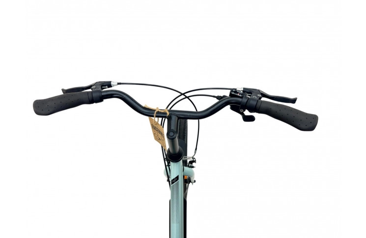 Damesfiets Riverside RS120 28"/49cm/blauw